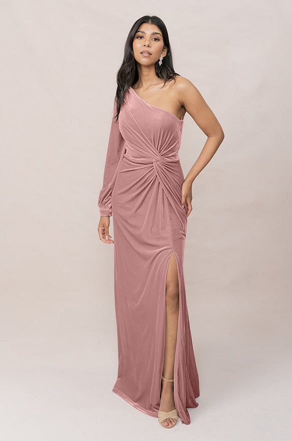 Aurora Velvet Dress