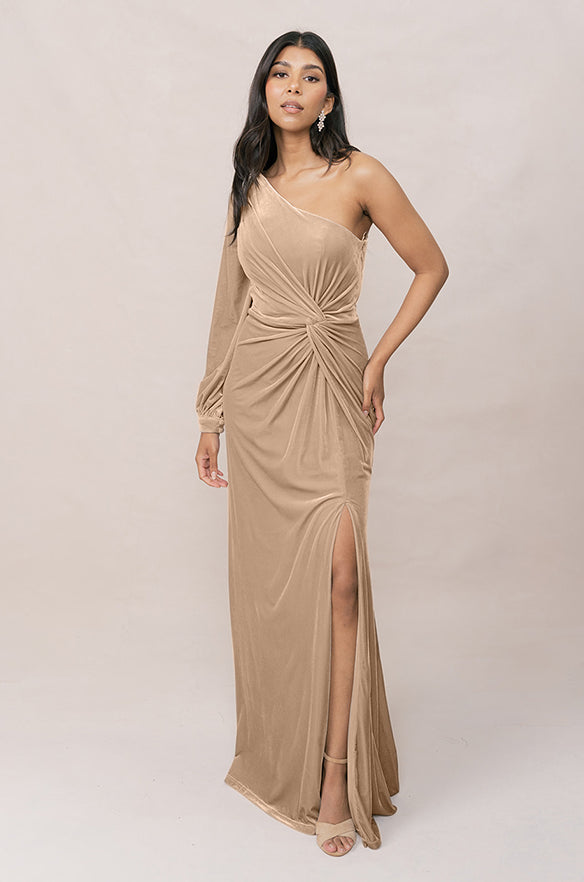 Aurora Velvet Dress