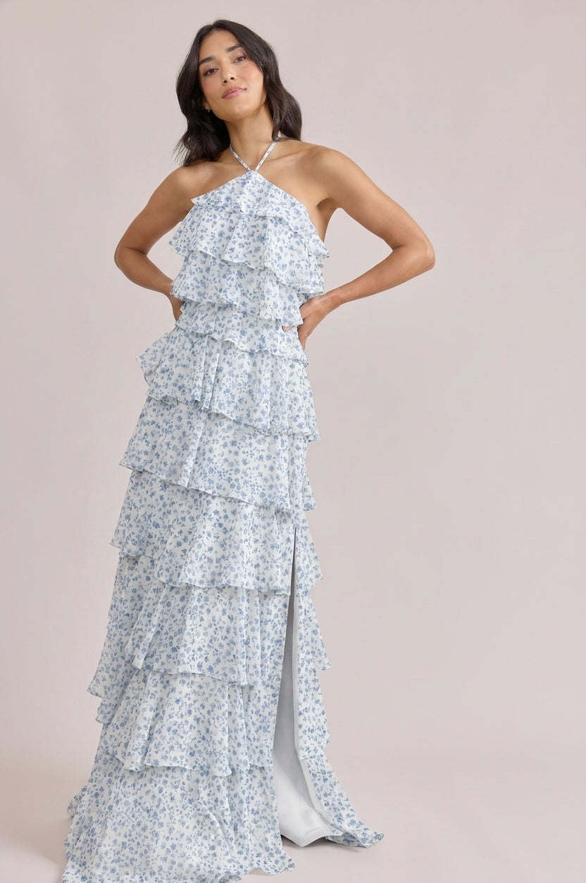 Carrie Chiffon Floral Print Dress
