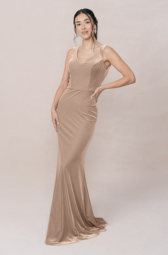 Dakota Velvet Dress