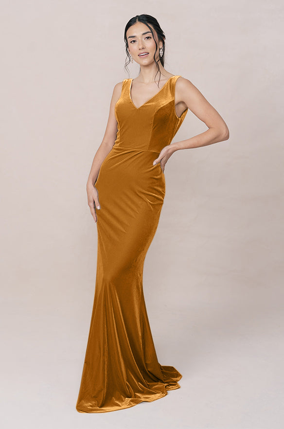 Dakota Velvet Dress