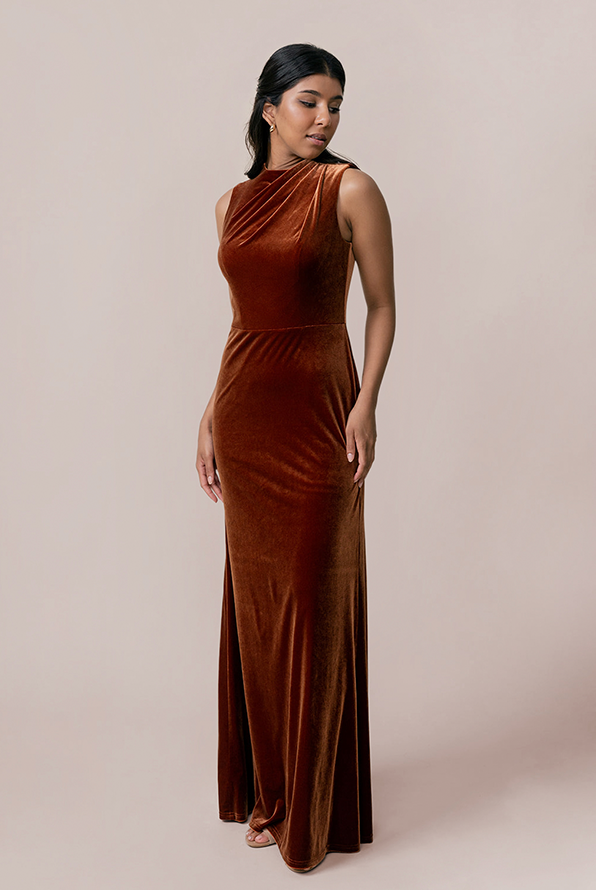 Diana Velvet Dress