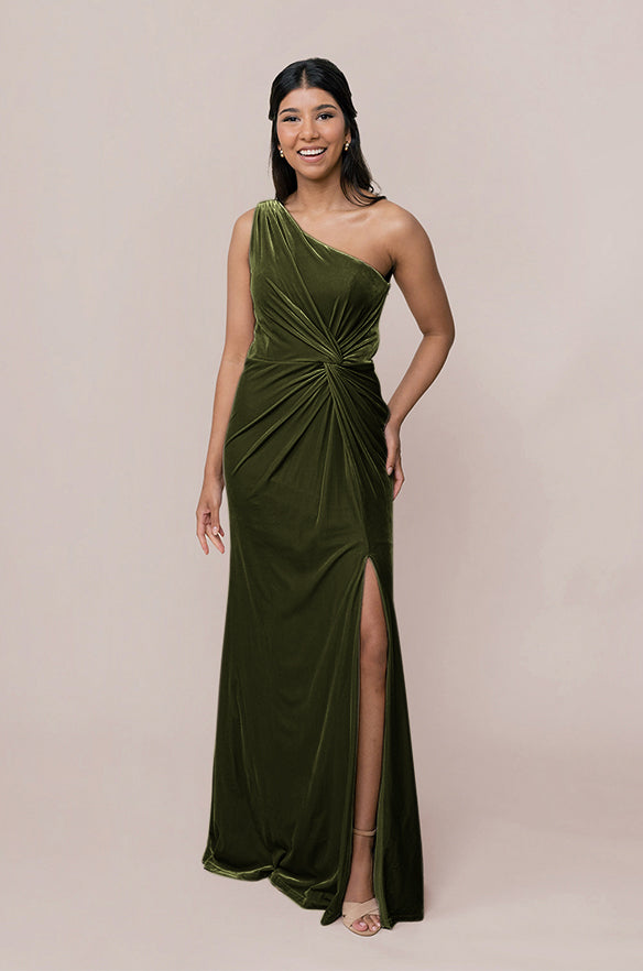 Florence Velvet Dress