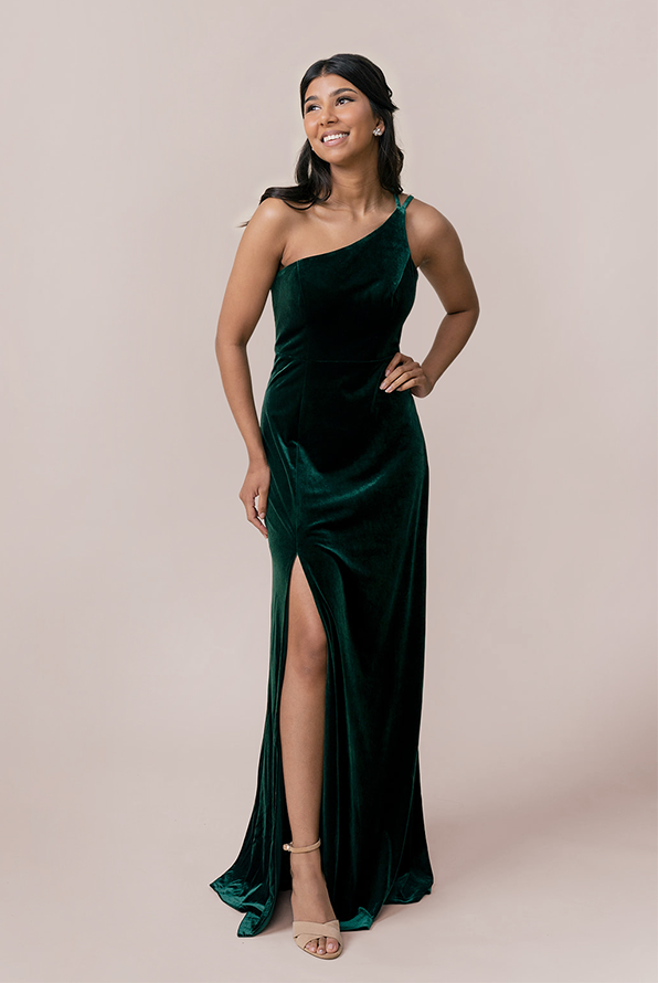Inez Velvet Dress - Main Image