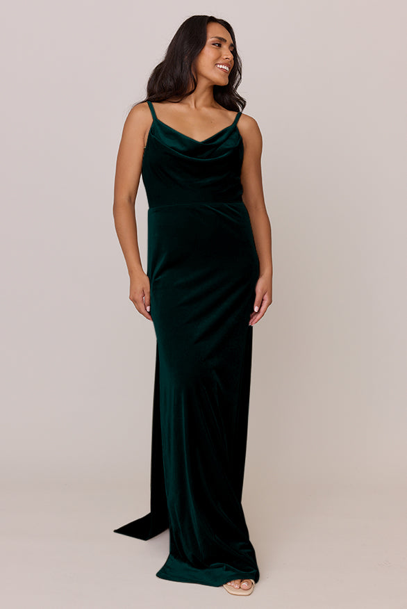 Nadia Velvet Dress