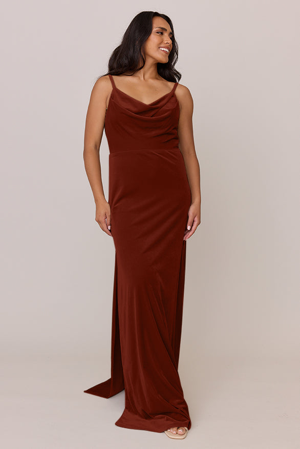 Nadia Velvet Dress