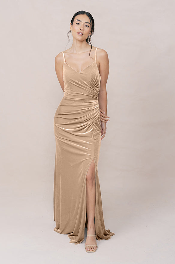 champagne velvet dress Rory Velvet Dress
