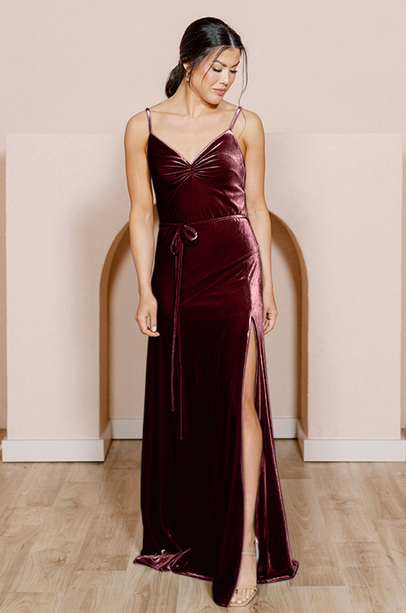 Sample Burgundy Tilley Velvet Dress