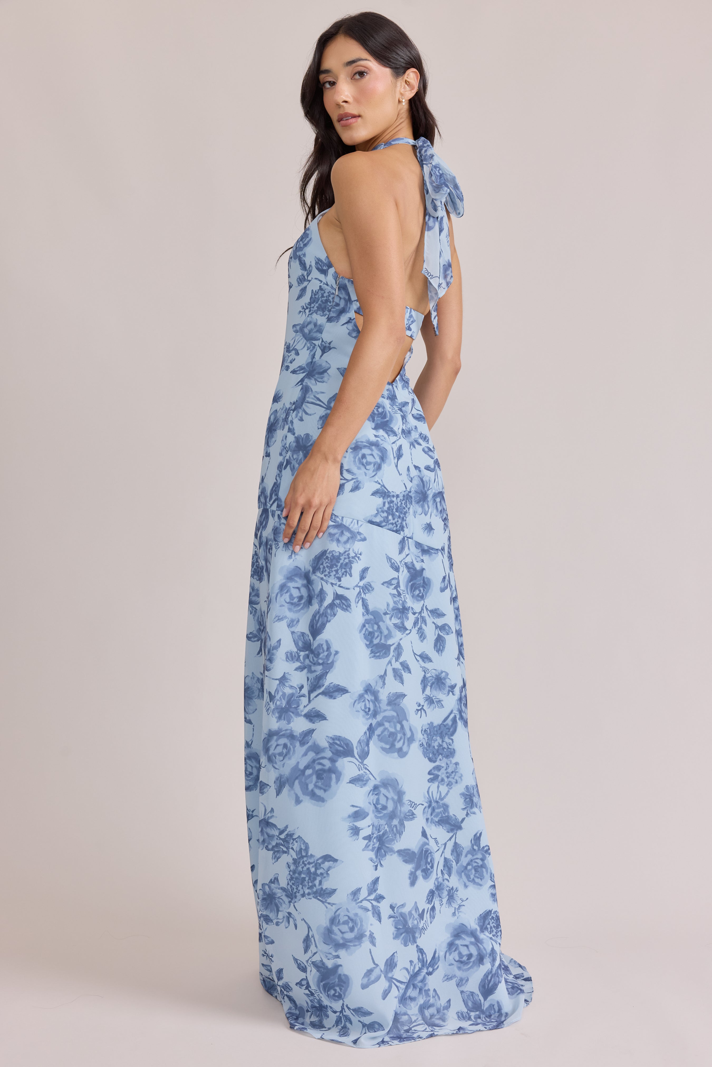 Athena Chiffon Floral Print Dress