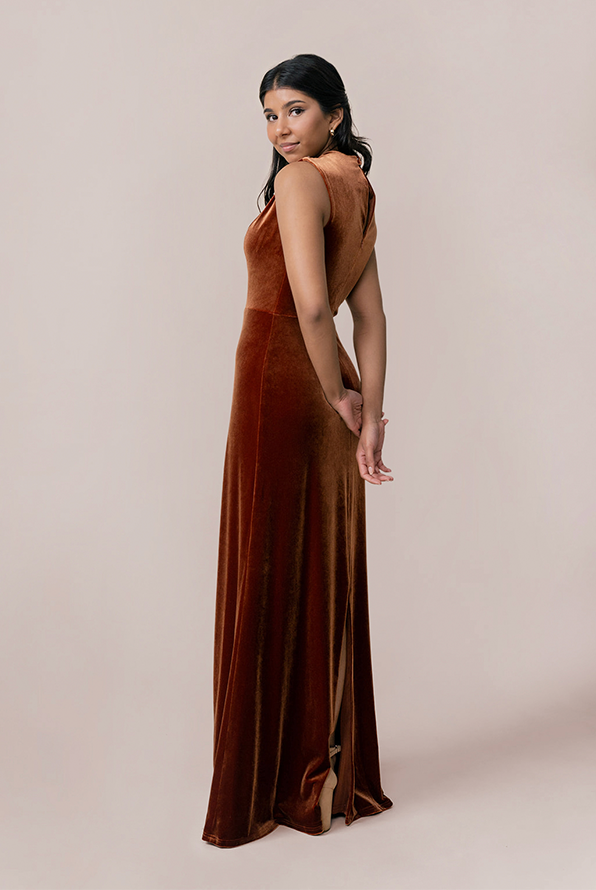 Diana Velvet Dress