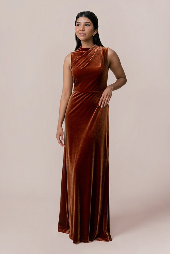 Diana Velvet Dress