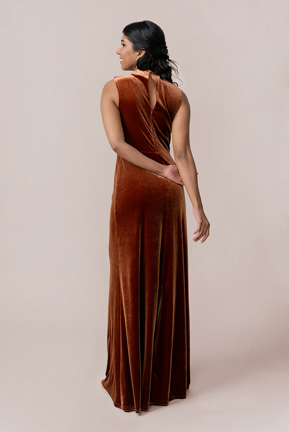 Diana Velvet Dress