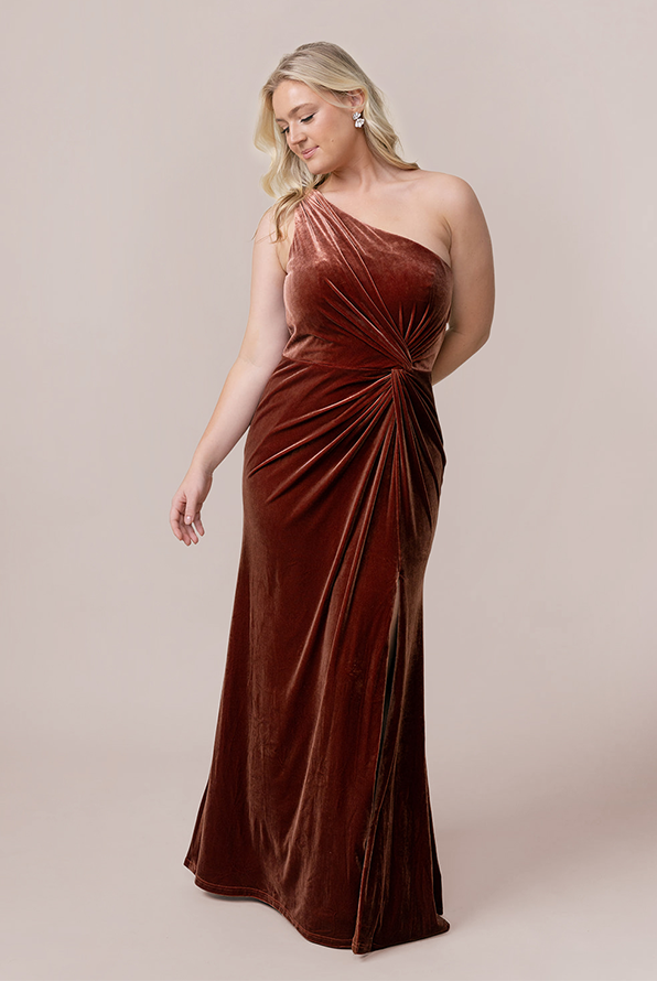 Florence Velvet Dress | Made To Order Blush Florence Velvet Dress | Made To Order Blush