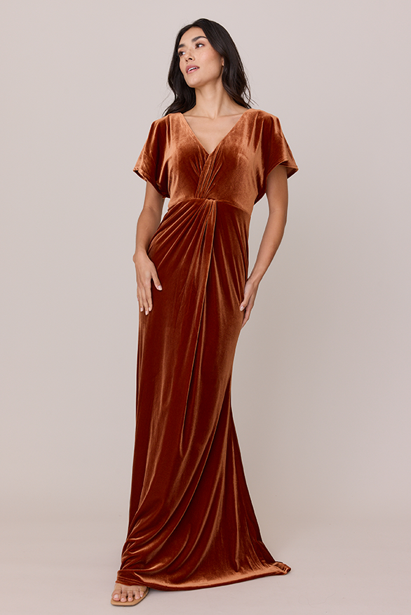 Gwen Velvet Dress