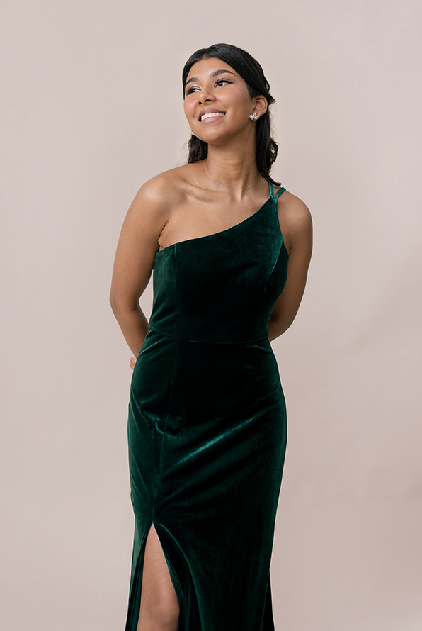 Inez Velvet Dress