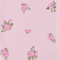 Baby Pink Petit Rose
