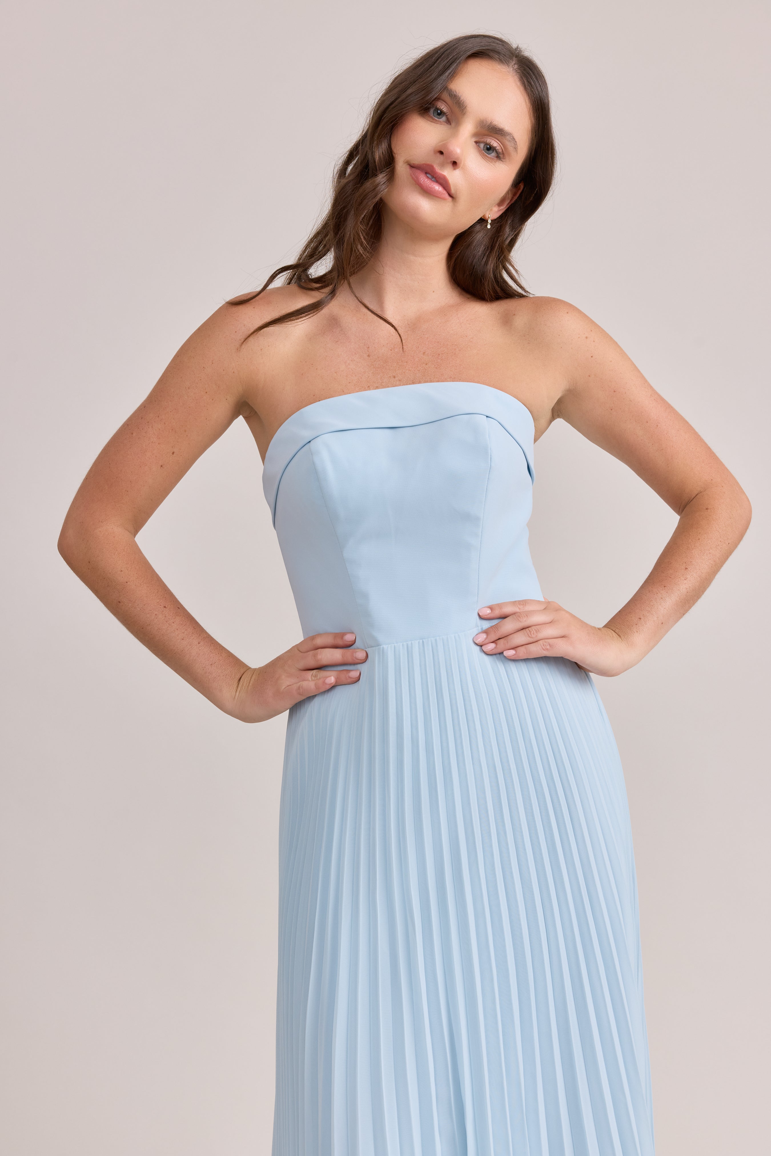 Saylor Chiffon Pleated Dress