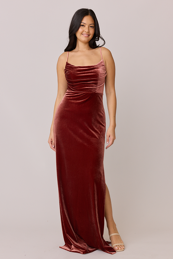 Skye Velvet Dress