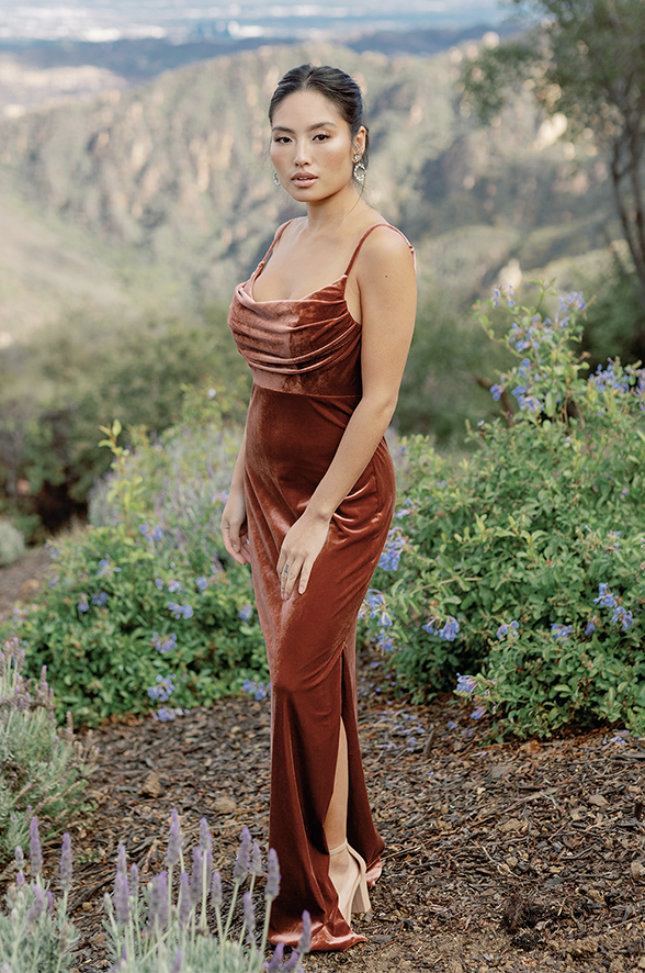 Skye Velvet Dress